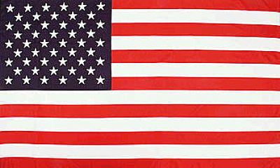 USA FLAG 8X5